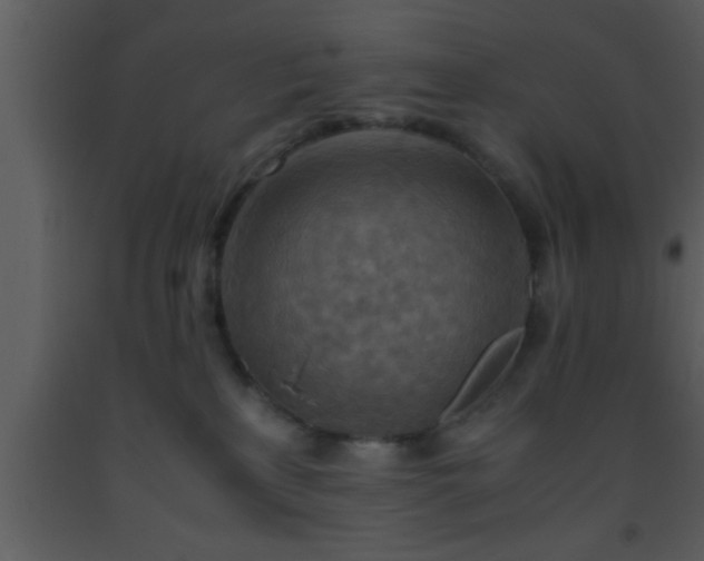 X0000093510233200710191318
