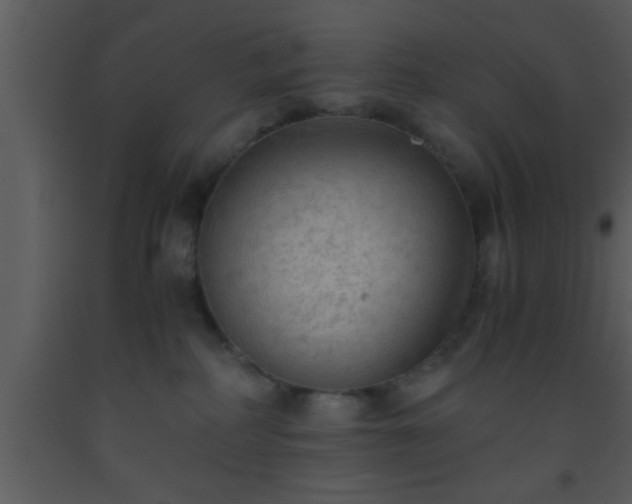 X0000093510234200710191318