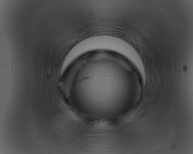 X0000093510235200710191318
