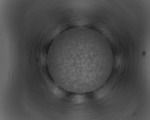 X0000093510236200710191318