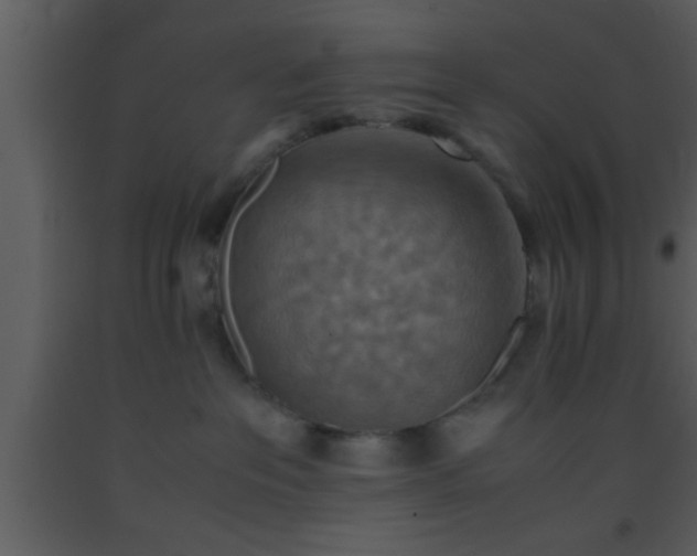 X0000093510237200710191318