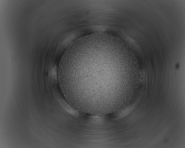 X0000093510238200710191318