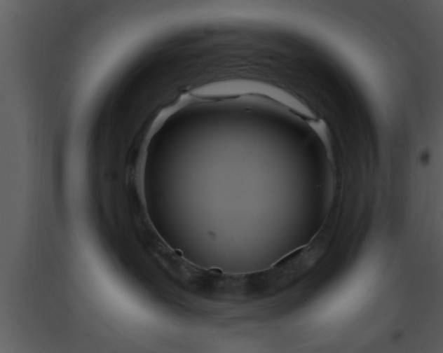X0000093510239200710191318