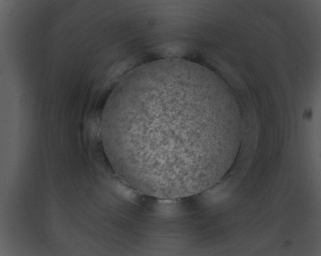X0000093510240200710191318