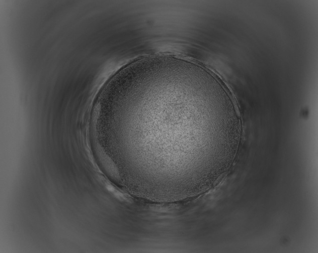 X0000093510241200710191317