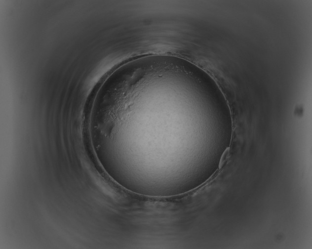 X0000093510242200710191317