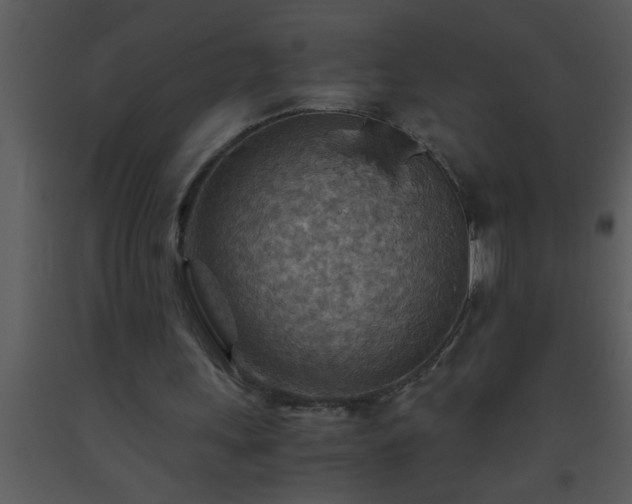 X0000093510243200710191317