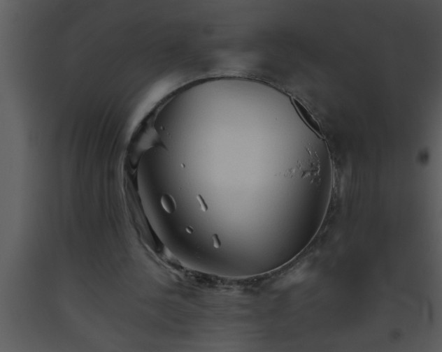 X0000093510244200710191317