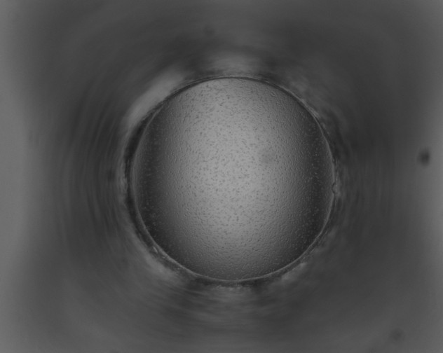X0000093510245200710191317
