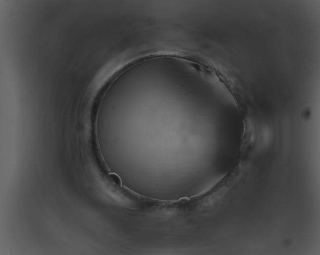 X0000093510247200710191317