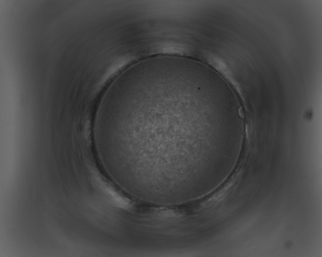 X0000093510249200710191317