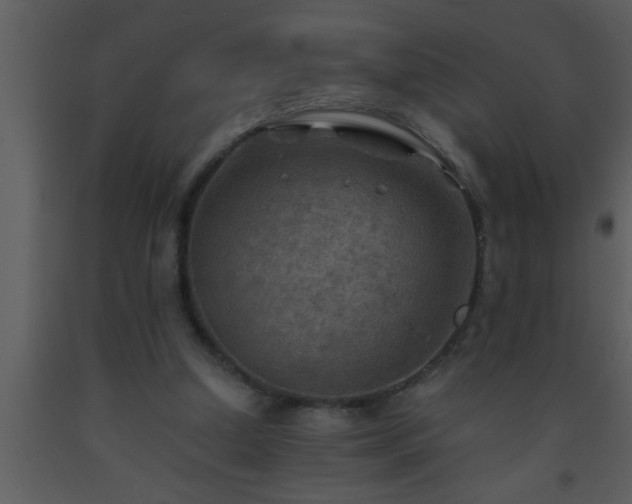 X0000093510250200710191317