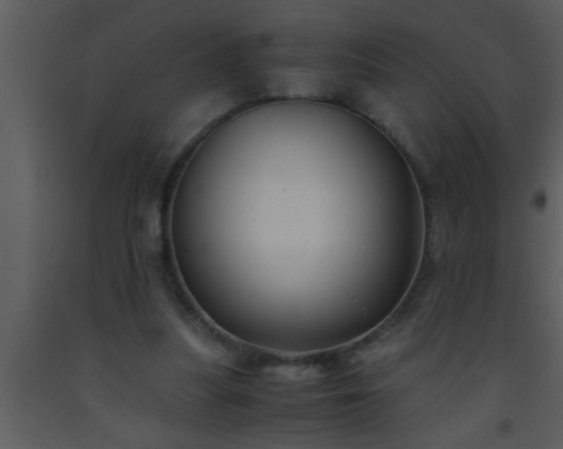 X0000093510251200710191317