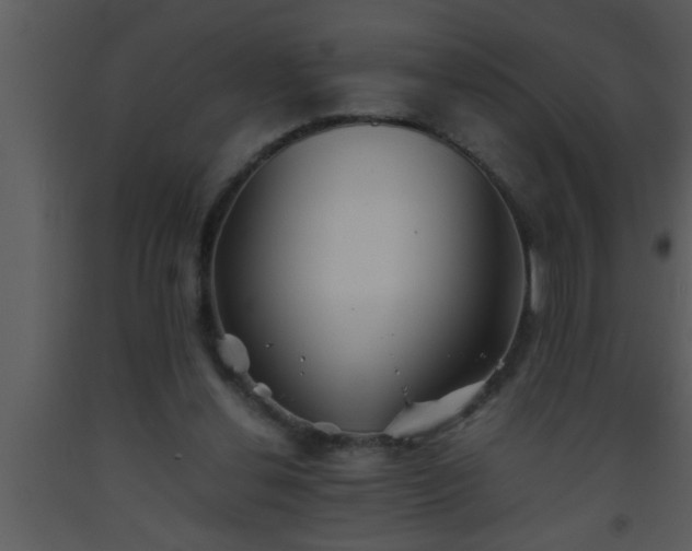 X0000093510252200710191317