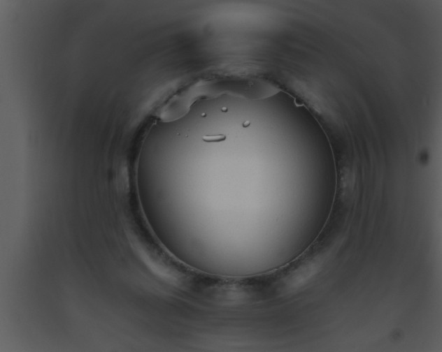 X0000093510254200710191317