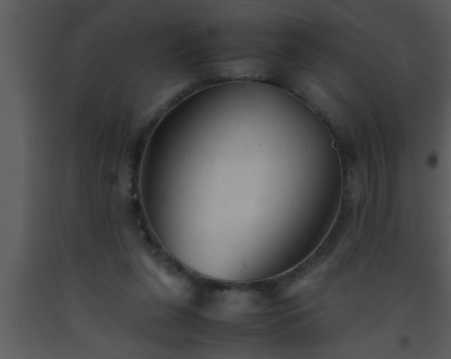 X0000093510255200710191317
