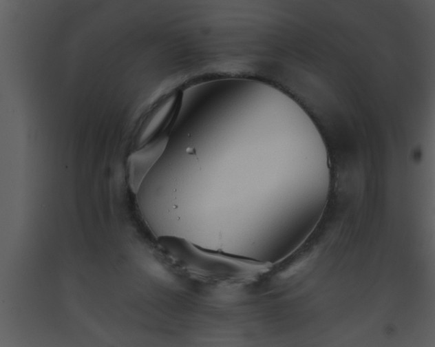 X0000093510256200710191317