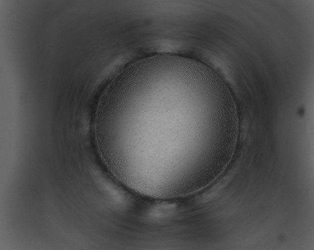 X0000093510257200710191317