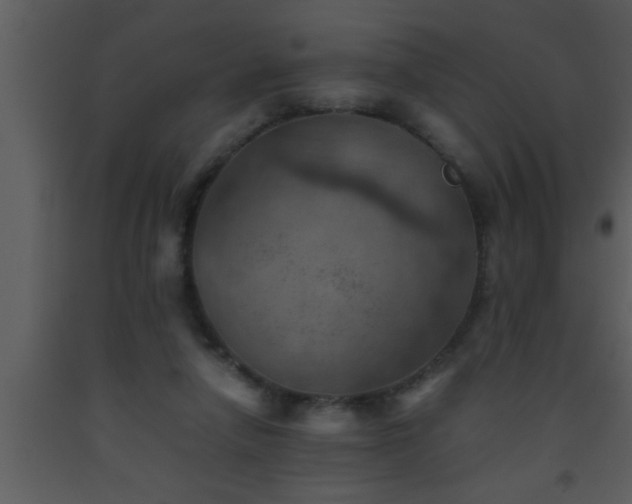 X0000093510258200710191317