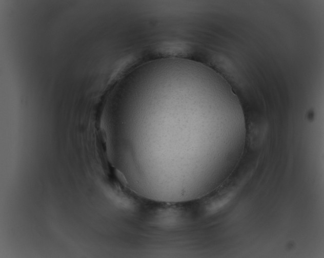 X0000093510259200710191317