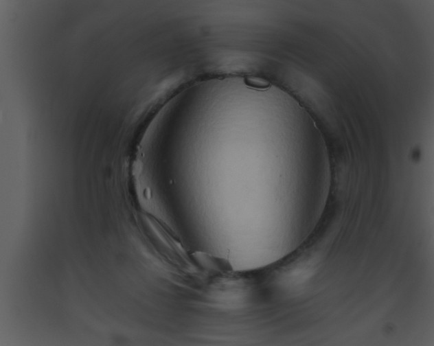 X0000093510260200710191317