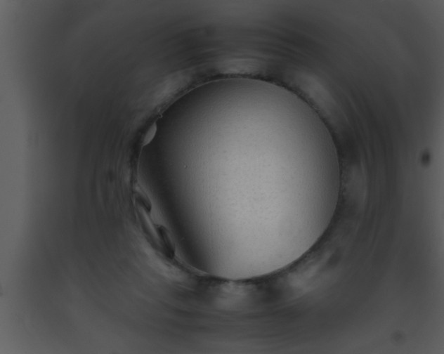 X0000093510261200710191317