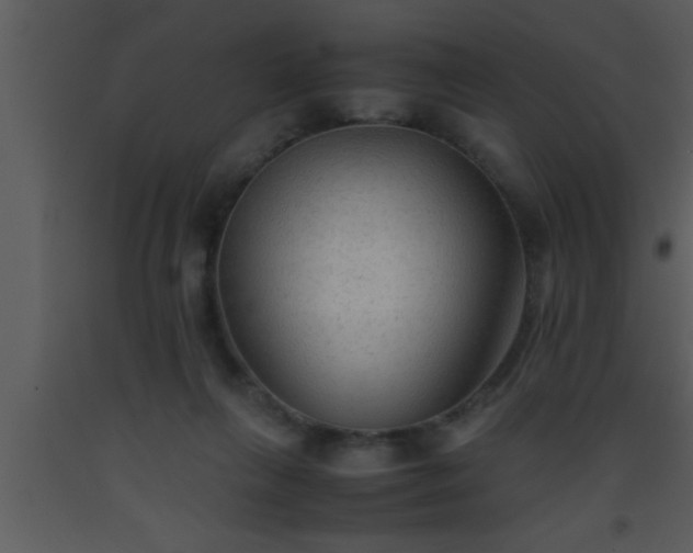 X0000093510263200710191317