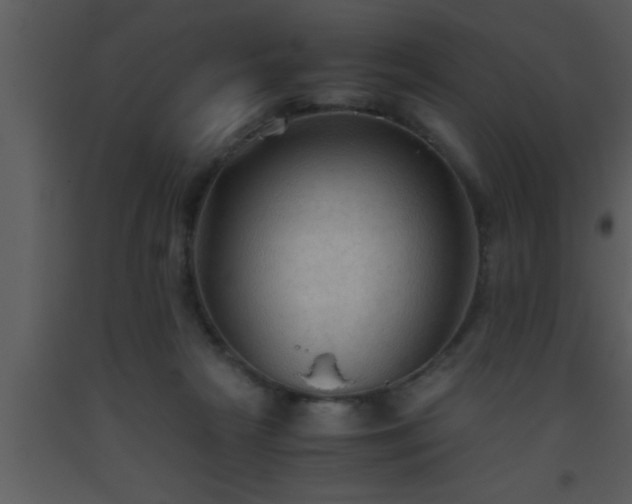 X0000093510265200710191317