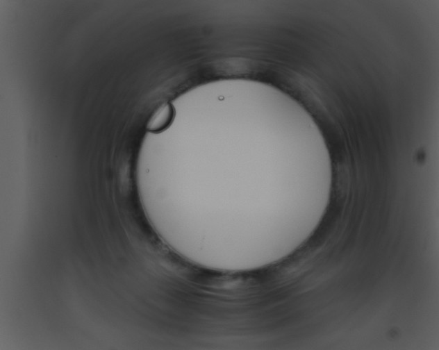 X0000093510267200710191317