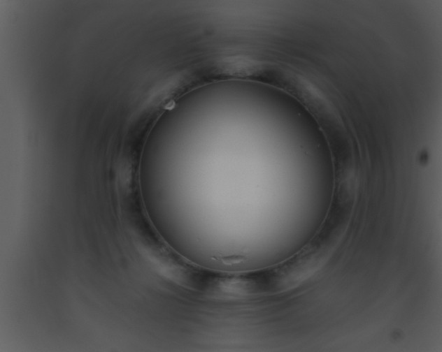 X0000093510268200710191317