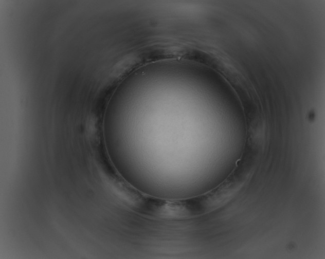 X0000093510270200710191317