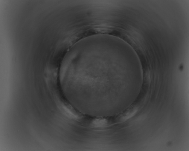 X0000093510271200710191317