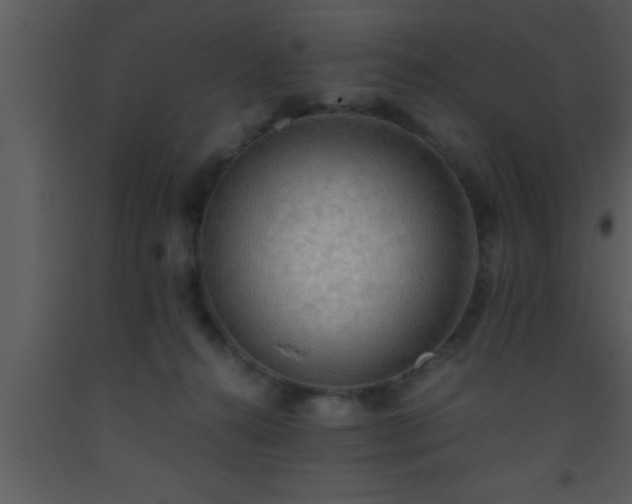 X0000093510272200710191317
