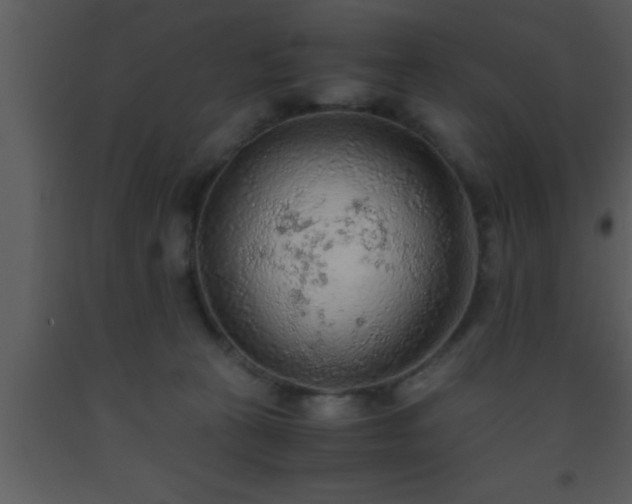 X0000093510273200710191317