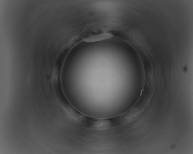 X0000093510274200710191317