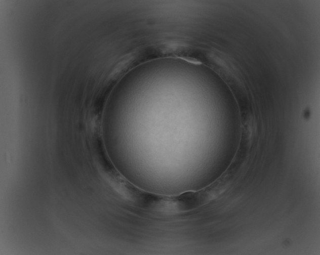 X0000093510276200710191317
