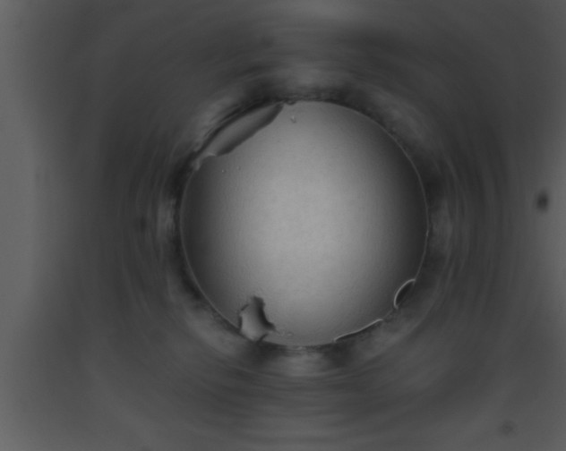 X0000093510278200710191317