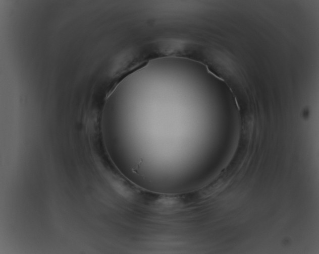 X0000093510280200710191317