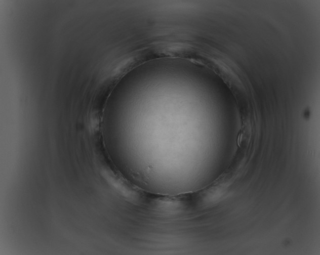 X0000093510284200710191317