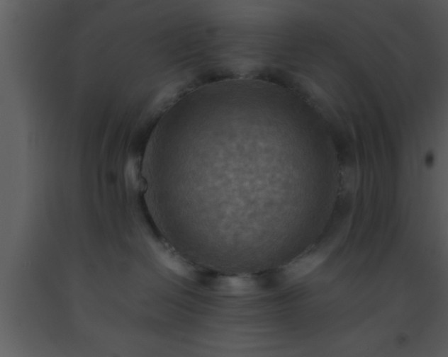 X0000093510286200710191317
