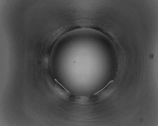 X0000093510288200710191318