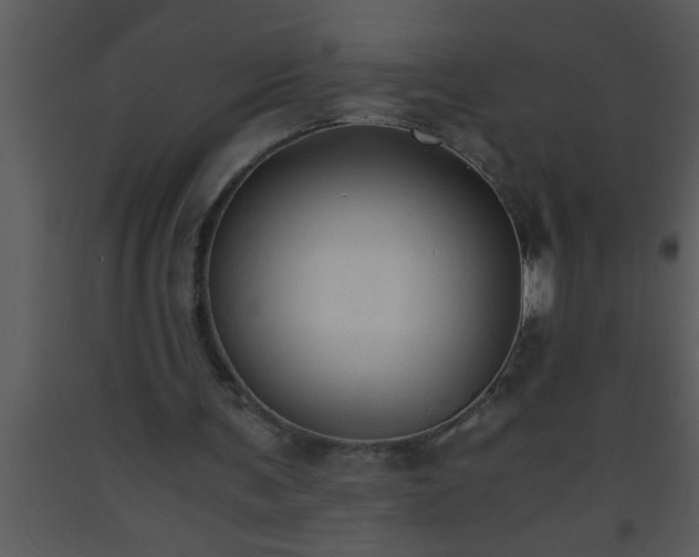 X0000093510291200710191317