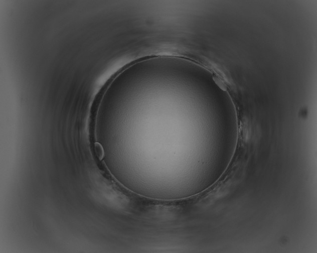 X0000093510292200710191317