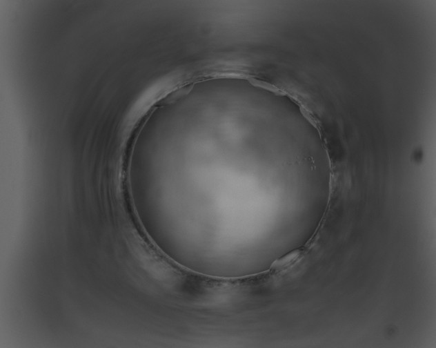X0000093510293200710191317