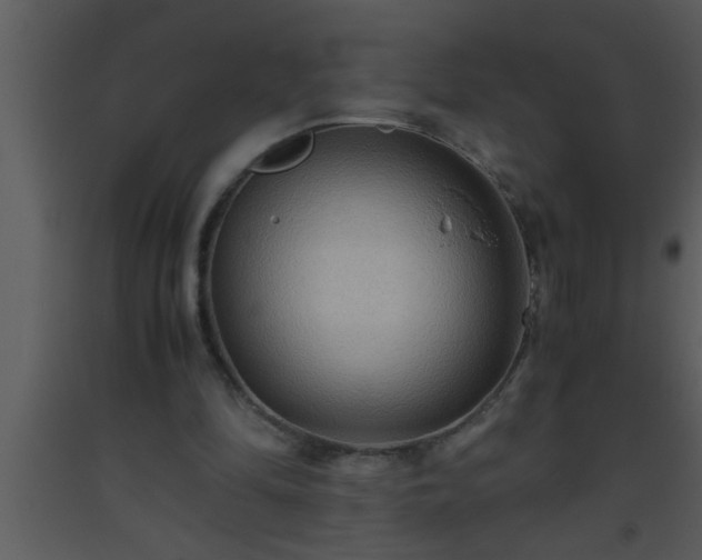 X0000093510294200710191317