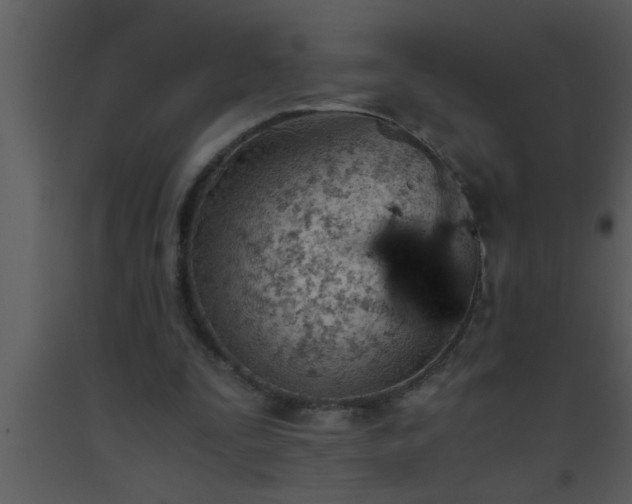 X0000093510295200710191317