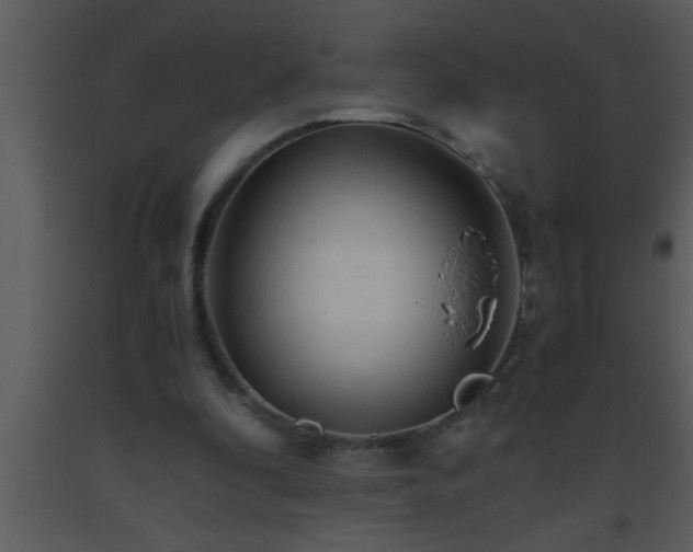 X0000093510296200710191317