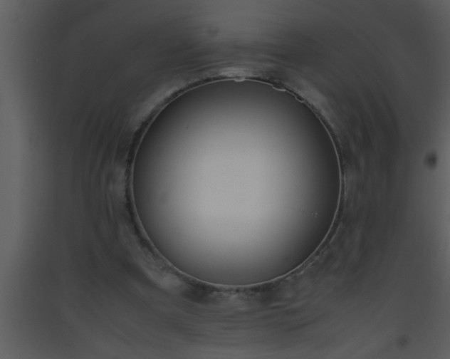 X0000093510297200710191317