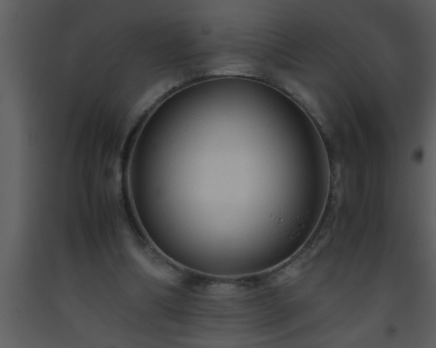 X0000093510298200710191317