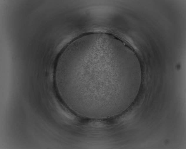 X0000093510299200710191317